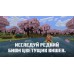 Minecraft: Deluxe Collection в Java & Bedrock